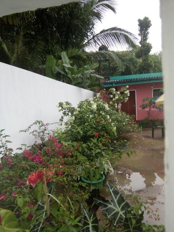 Little Pink House Apartment Mirissa Luaran gambar