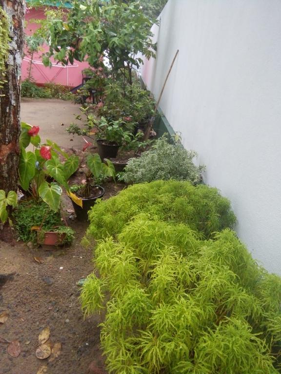 Little Pink House Apartment Mirissa Luaran gambar